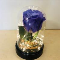 Birthday Dome W/Lights · A beautiful single purple rose adorned with lights around and a happy birthday message.