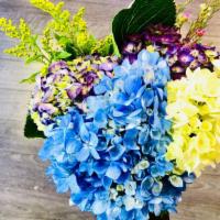 Hydrangea Bouquet · A mix of different colors of hydrangea in one beautiful bouquet.
Note:Colors may change, sub...