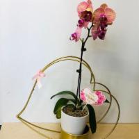 Orchid Heart Vase · An orchid on a heart shaped metallic vase 
Color may vary.