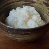 Steamed White Rice · Koshihikari rice from ikeda, fukui.