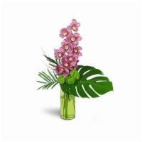 Blushing Grace Orchids · Stunning and exotic, this array of dusky pink cymbidium orchids will show your good taste fo...