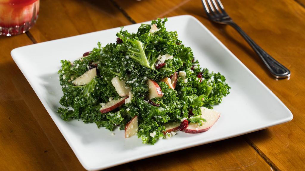 Kale Salad · apple, pomegranate, queso fresco, and honey lemon dressing. Add protein for an additional charge.