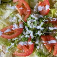 Quesadilla · FLOUR TORTILLA LOADED WITH (CHOICE OF PROTEIN), CHEESE, TOPPED WITH LETTUCE, TOMATO, CILANTR...