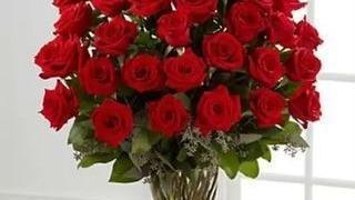 Ravishing Ruby · Send something bold with this ravishing ruby arrangement! Full of beautiful red blooms, this...