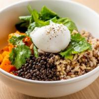 Warm Wild Rice Bowl · butternut squash, lentils, spinach, soft-boiled egg & cilantro.