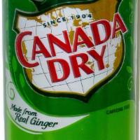 Ginger Ale Can · 