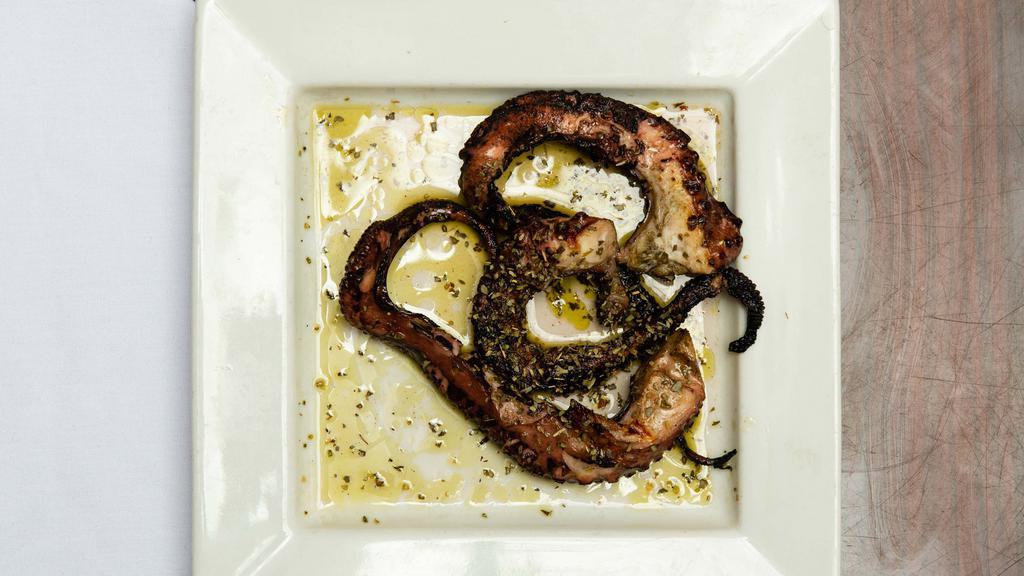 Grilled Octopus · Drizzled with olive oil vinegar and oregano