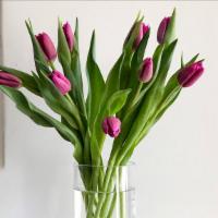 Fresh Tulips In A Vase · 20 of the freshest tulips in a glass vase. 

Note that the color of the tulips may vary depe...