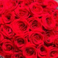 Bunch Of Love · 100 Roses in color of choice, flower wrapping paper arrangement.