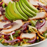 Southwest Chicken & Avocado Salad · Grilled chicken, roasted corn, poblano and black bean relish, red onion, tomato, cheddar-jac...