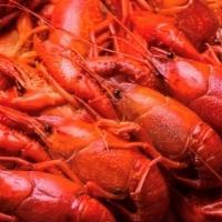 Crawfish (1/2Lb) · Choose any item (1/2lb per item), 1 lb minimum.