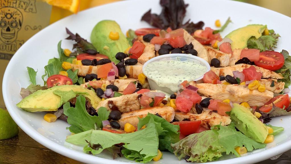 Baja Salad · Marinated grilled chicken on a bed of spring mix, black bean salsa, corn, fresh lime pico de gallo, rice, cherry tomatoes and avocado slices. Served with a side of cilantro ranch dressing.