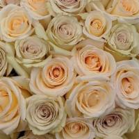 Cream Dazzler Long Stem Roses · Evoking images of a peaceful Parisian garden, our cream dazzler roses are a beautiful additi...