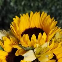 A Ray Of Sunshine · This sunflower arrangement will brighten anyone's day. Hand designed with five fresh sunflow...