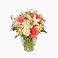 Welcome Baby Girl Flower Arrangement · This delicate arrangement is sure to delight! With lovely white Asiatic lilies, picturesque ...