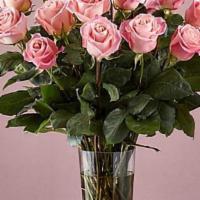 24 Long Stem Pink Roses · Enjoy the classic beauty of the rose with a playful twist in our Long Stem Pink Rose Bouquet...