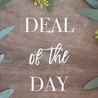 Deal Of The Day · Our designers take the freshest flowers and expertly arrange them in a vase. The Deal of the...