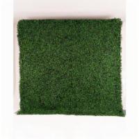 Grass Wall · 