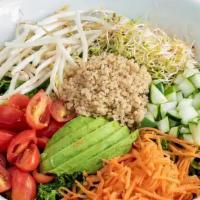 Teeka Salad · Kale, Quinoa, Avocado, Grape, Tomatoes, Bean Sprouts, Carrots, Cucumber and Alfalfa Sprouts