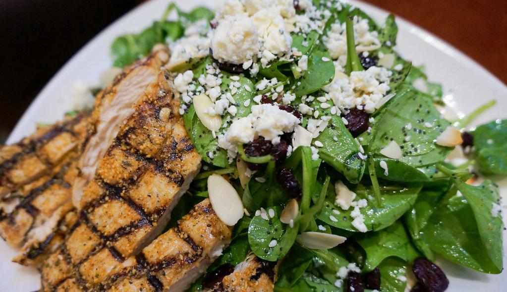 Cranberry Spinach Salad · Grilled chicken, spinach, toasted sesame seeds, almonds, poppy seeds, dried cranberries, Bleu cheese crumbles with apple cider vinaigrette.