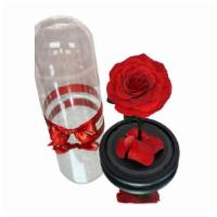 Beauty & The Beast Preserved Rose In Gift Box · Beautiful preserved rose in glass dome, comes a black gift box.