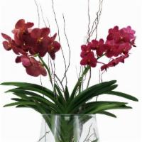 Málaga · Glass pot with 2 plum vanda orchids. Pot Size: 12″ x 14″
Arrangement size : 19″x 33″.