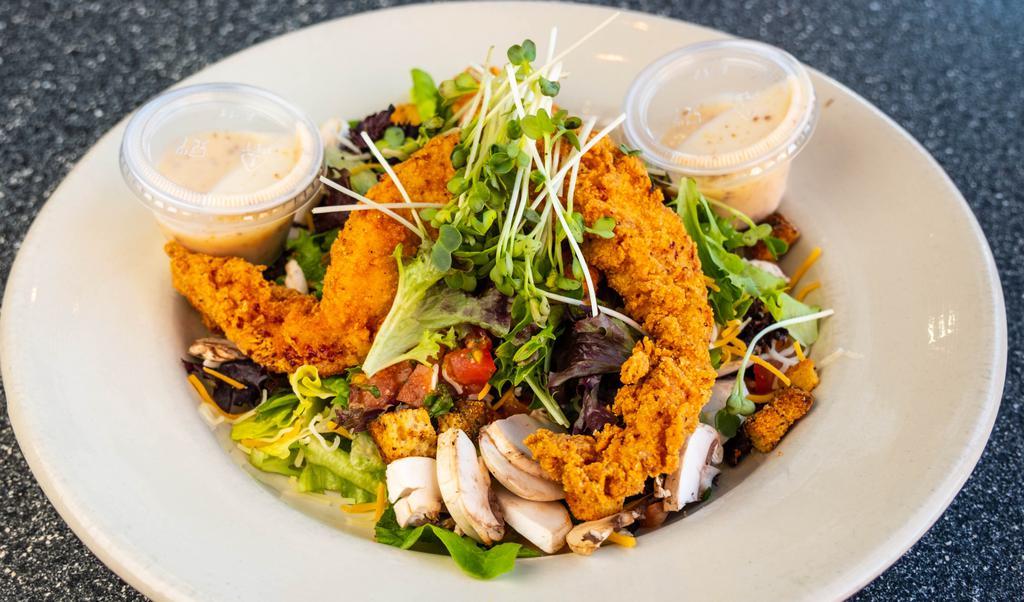 Fried Or Grilled Chicken Salad · Assorted greens, cheddar jack cheese, mushrooms, pico de gallo, fried or grilled chicken breast, croutons and sunflower sprouts.