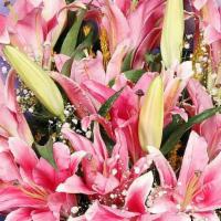 Gorgeous Pink Lillies  · Gift this bouquet of pretty pink lilies artfully arranged by our florist to your special one...