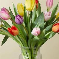 Picnic Tulips Dozen · Celebrate with the classic beauty of our Picnic Tulips. These captivating colors shine brigh...