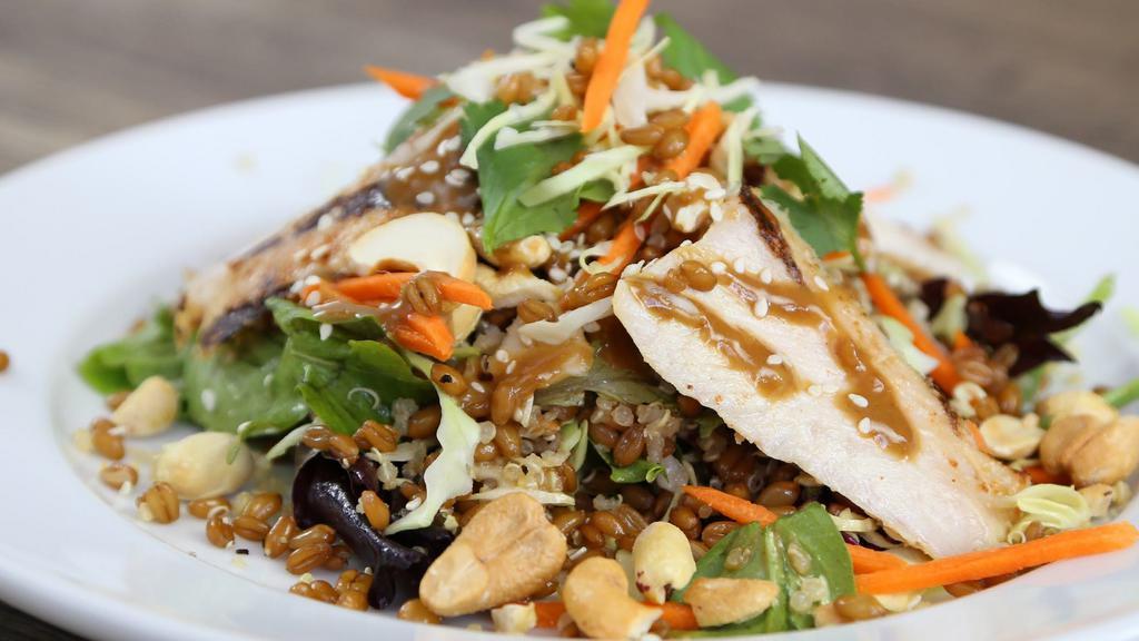 Sesame Chicken Salad · Grilled chicken breast, peanuts, and cashews on top of fresh mixed greens and cabbage. Tossed with carrots, cilantro, sesame seeds, toasted wheat, quinoa, and miso vinaigrette. Served with grilled bread.