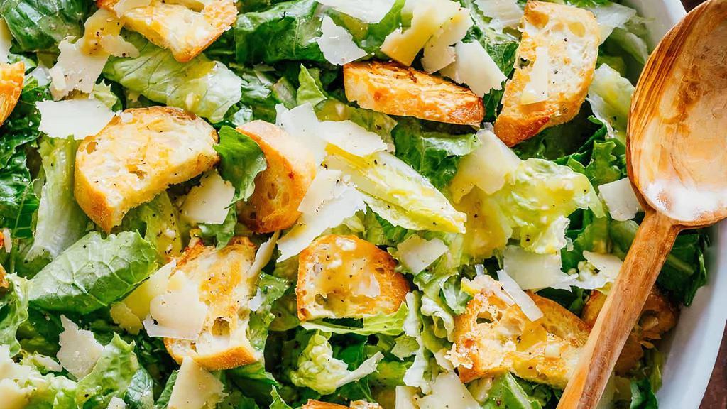 Caesar Salad · Lettuce Caesar dressing, croutons and chicken gyro.
