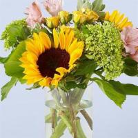 Butterfly Kisses · The only thing better than sunshine? These light and bright blooms. Butterfly Kisses is the ...