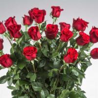 Two Dozen Long Stemmed Roses · These two dozen red roses provides the classic romantic gift. It's perfect for Valentine's D...