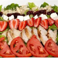 Summer Salad · Fresh baked chicken, sliced almonds, tomato, dried cranberries, fresh strawberries, feta che...