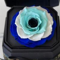 Evil Eye Preserved Roses · One box preserved rose