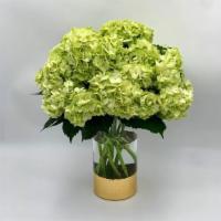 Hydrangea Lovers · A Monochromatic arrangement with green hydrangeas in an elegant vase.