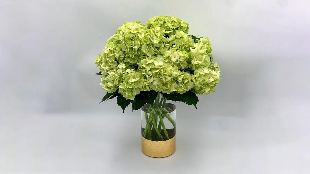 Hydrangea Lovers · A Monochromatic arrangement with green hydrangeas in an elegant vase.