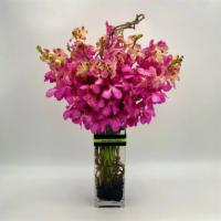 Orchids Lovers · Tall rectangular vase with black river stones with 20 beautiful pink orchids.