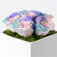 Mixed Preserved Roses · Our arrangements of preserved roses are a great idea to keep as a present for a long time. T...