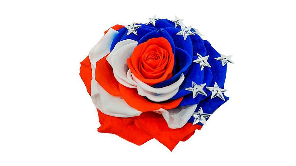 Patriotic Preserved Rose · Limited edition US flag preserved rose. Hand picked and preserved long lasting luxury rose. This design features a stringed fairy light vase with batteries.