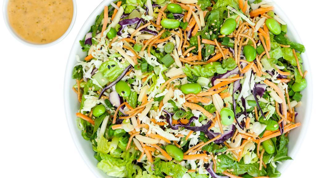 Spicy Thai · greens and Asian cabbage, carrots, rice noodles, slivered almonds, sesame seeds, edamame, scallions, spicy cashew vinaigrette.