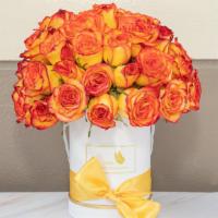 50 Rose Round Box · You can choose from a variety of colors. 50 beautiful fresh roses sure to make a perfect gift