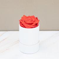 Single Red Preserved Rose  · Beautiful preserved  single rose that last 1-2 years , add to any gift for an extra touch th...