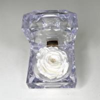 Mini Rose Preserved White · Natural long lasting preserved mini rose in an acrylic gift box