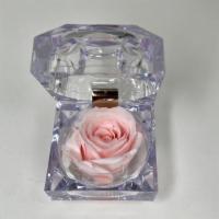 Mini Rose Preserved Pink · Natural long lasting preserved mini rose in an acrylic gift box