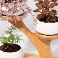 Grower'S Choice Triple Layer Stand - 4 Piece Planter Set · Low Stock.