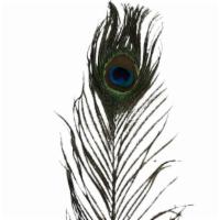 Peacock Feather · 9