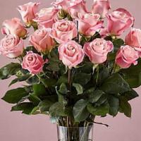 24 Long Stem Pink Roses · Enjoy the classic beauty of the rose with a playful twist in our Long Stem Pink Rose Bouquet...