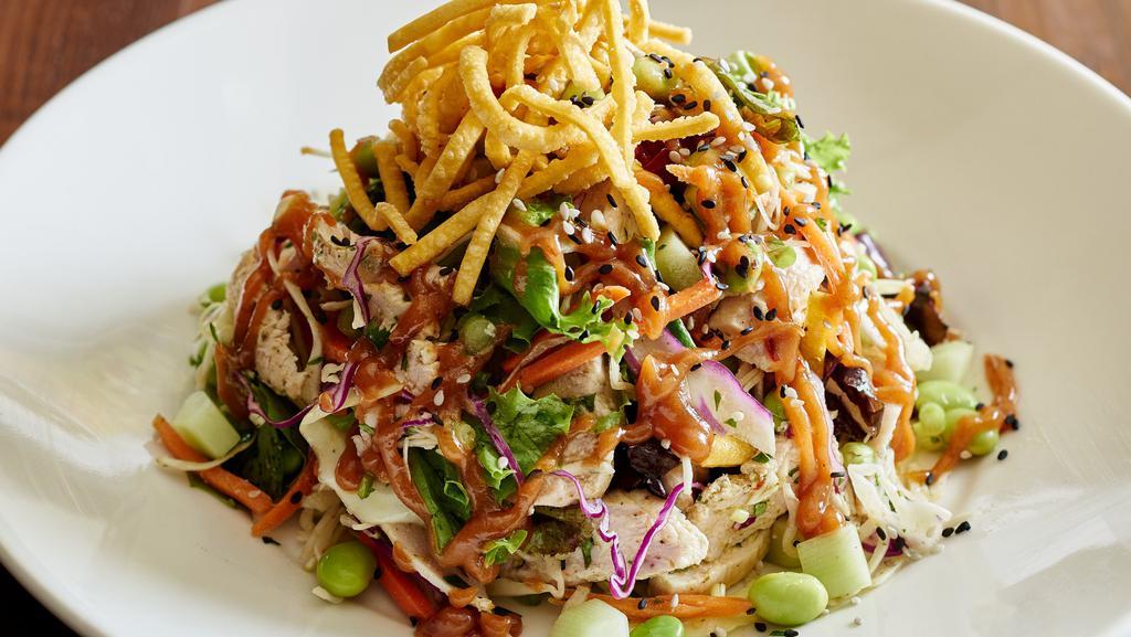 Thai Chicken Salad · mixed cabbages, cucumbers, edamame, Lime Cilantro vinaigrette, drizzled with Thai Peanut dressing.