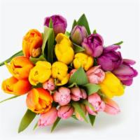 A Tulip For Everyone · PACKAGE DETAILS
1 bouquet

HOW IT SHIPS
Ships ready to cut the stems and place in water

STO...